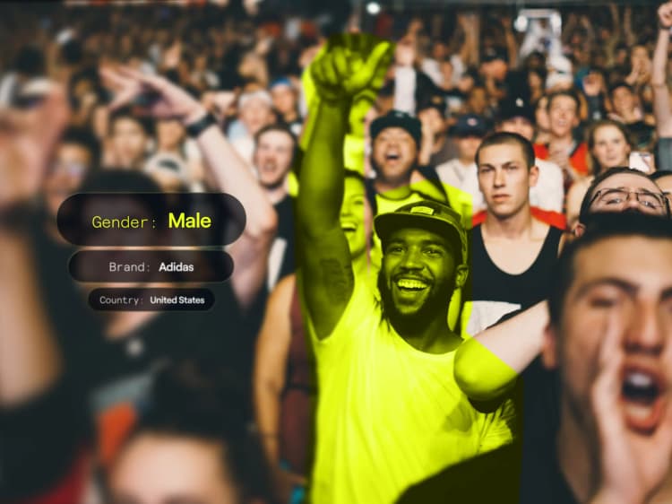 Audience Segmentation