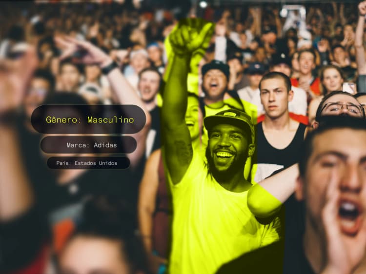 Audience Segmentation